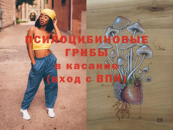 твердый Алексеевка