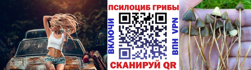 Галлюциногенные грибы GOLDEN TEACHER  Михайловск 