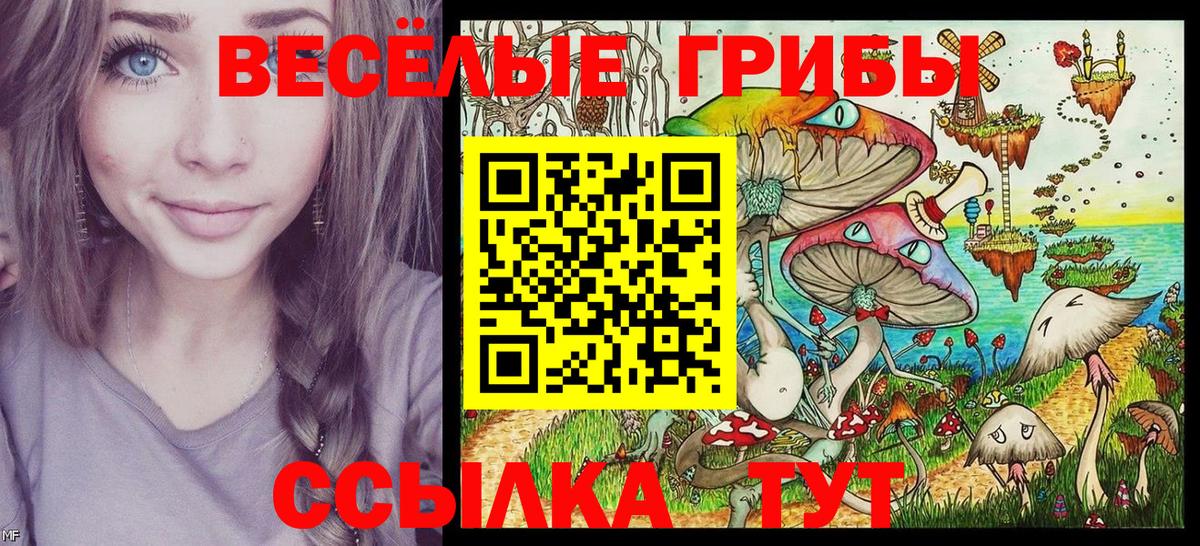 Псилоцибиновые грибы MAGIC MUSHROOMS  Вход с VPN  Псилоцибиновые грибы MAGIC MUSHROOMS  Михайловск 